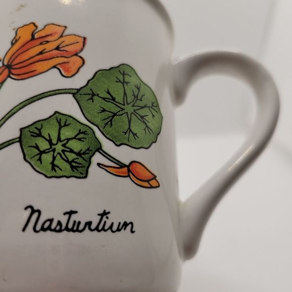 Vintage Nasturtium Botanical Healing Florals Coffee Mug - Picture 4 of 7
